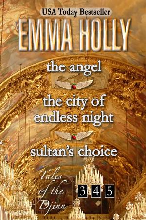 Cover of The Angel, The City of Endless Night, Sultan’s Choice