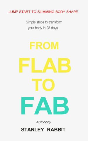 Cover of the book From Flam to Fab by 