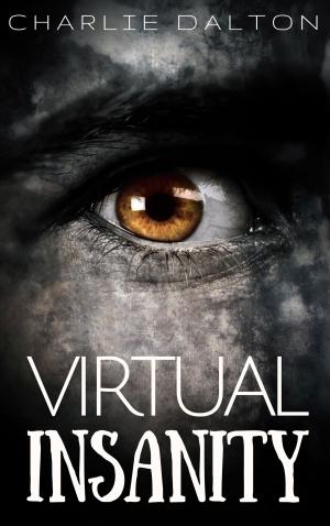 Cover of the book Virtual Insanity by D.K. Ryan