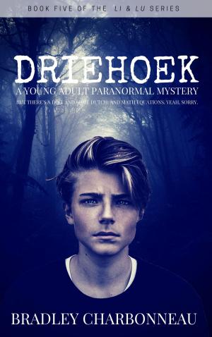 Cover of the book Driehoek by Ross Locke, Kelby Barker, Kevin Elias