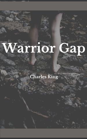 Book cover of Warrior Gap