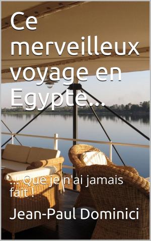 Book cover of Ce merveilleux voyage en Egypte...