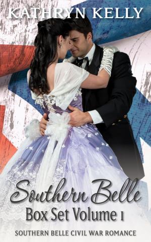 Book cover of Southern Belle Civil War Volume 1