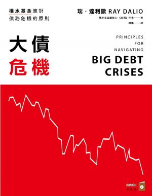 Cover of the book 大債危機：橋水基金應對債務危機的原則 by 石地