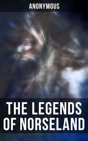 Cover of the book The Legends of Norseland by Elias Johnson