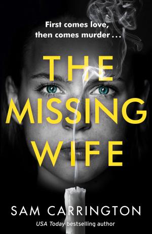 Cover of the book The Missing Wife by Brian Sibley