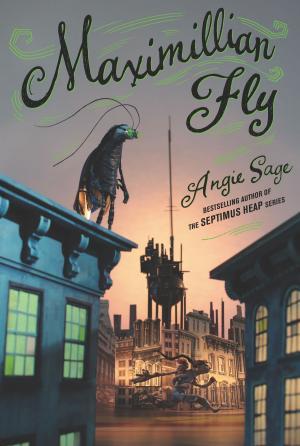 Cover of the book Maximillian Fly by Tiffany D Jackson