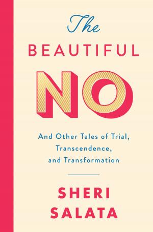 Book cover of The Beautiful No