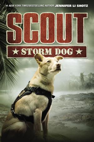 bigCover of the book Scout: Storm Dog by 