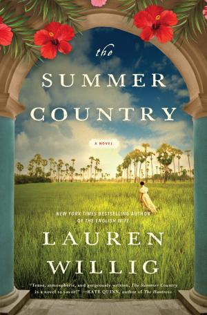 Cover of the book The Summer Country by Sena Jeter Naslund