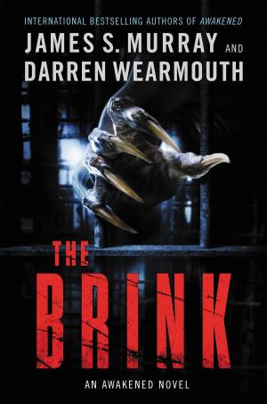 Cover of the book The Brink by Emmi Itäranta