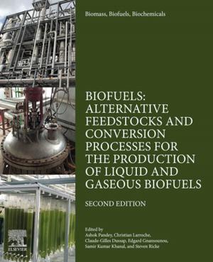 Cover of the book Biomass, Biofuels, Biochemicals by Tariq Muneer, Mohan Kolhe, Aisling Doyle