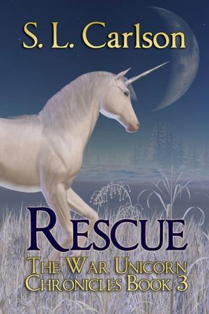 Cover of the book Rescue by Vijaya Schartz