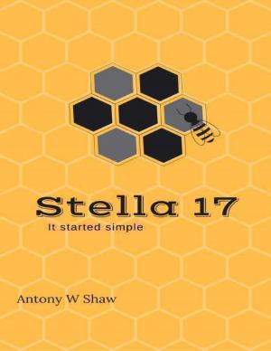 Cover of the book Stella 17: It Started Simple by Paula George
