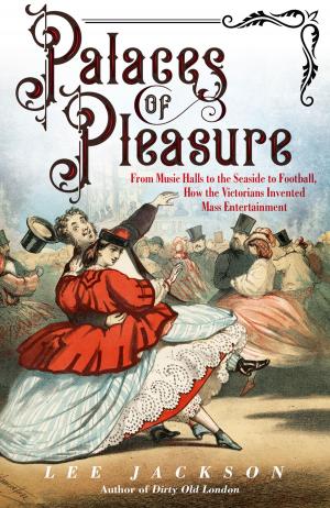 Cover of the book Palaces of Pleasure by Brian DeLay
