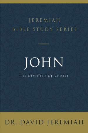 Cover of the book John by Andy Andrews