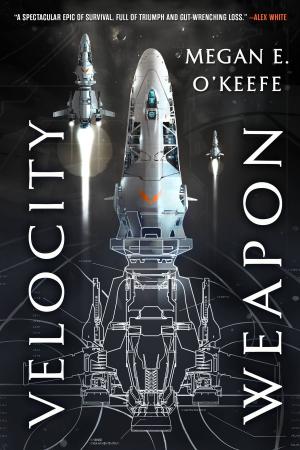 Cover of the book Velocity Weapon by David Mealing