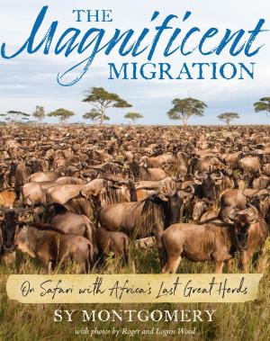 Cover of the book The Magnificent Migration by Carolyn Haywood