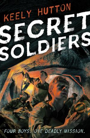 Cover of the book Secret Soldiers by David Klass