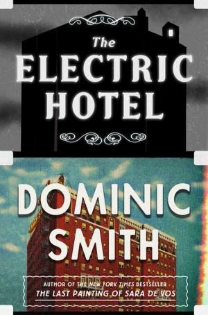 Cover of the book The Electric Hotel by Mort Rosenblum