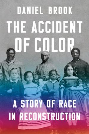 Cover of the book The Accident of Color: A Story of Race in Reconstruction by Marilyn Wedge