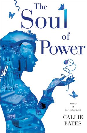 Book cover of The Soul of Power