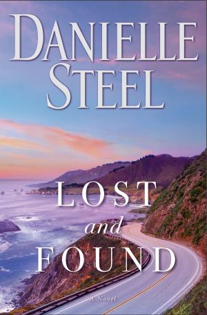Cover of the book Lost and Found by Sylvia Andrew