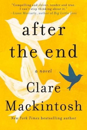 Cover of the book After the End by Catherine Bailey
