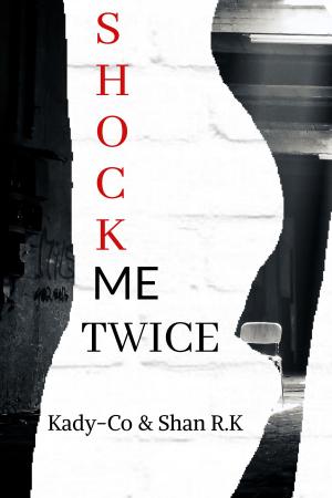 Book cover of Shock Me Twice