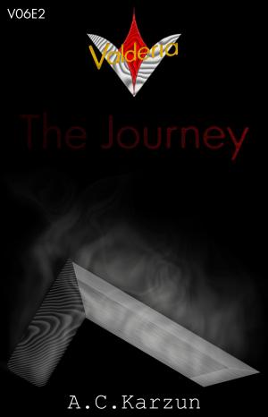 Book cover of V06E2 The Journey