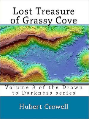 Book cover of Lost Treasure of Grassy Cove