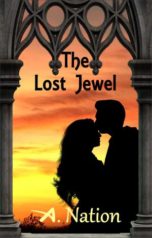 Cover of the book The Lost Jewel by A. Nation