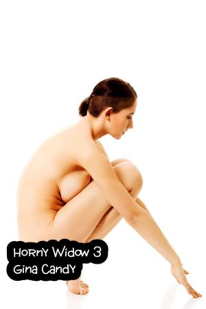 bigCover of the book Horny Widow 3 by 
