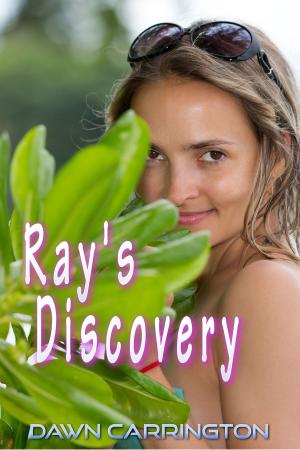 Cover of the book Ray's Discovery by Hanker L.d. Crimson, Hanker L.D. Crimson