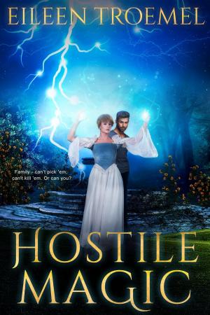 bigCover of the book Hostile Magic by 