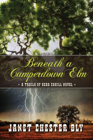 Book cover of Beneath a Camperdown Elm
