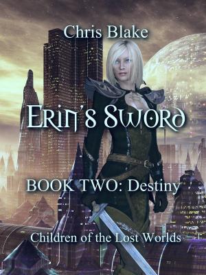 Cover of the book Erin's Sword: Book Two: Destiny by Jaysen True Blood