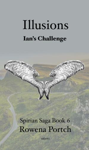 Book cover of Illusions Ian's Challenge