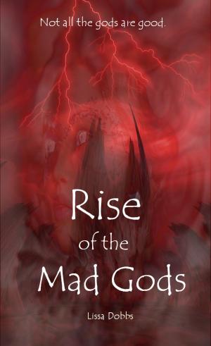 Book cover of Rise of the Mad Gods