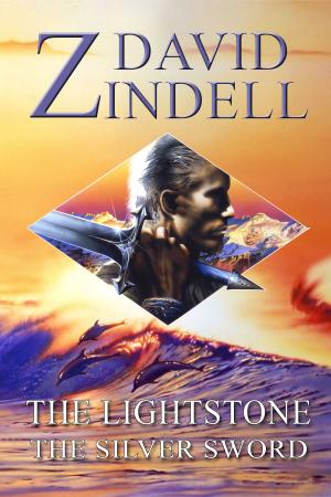 Cover of the book The Lightstone - Part Two: The Silver Sword (Book One of the Ea Cycle) by Tamara Shoemaker