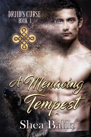 Book cover of A Menacing Tempest