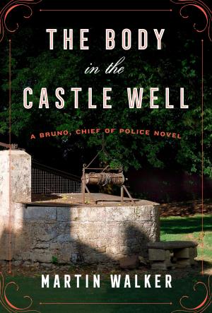 Book cover of The Body in the Castle Well