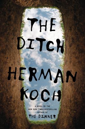 Book cover of The Ditch