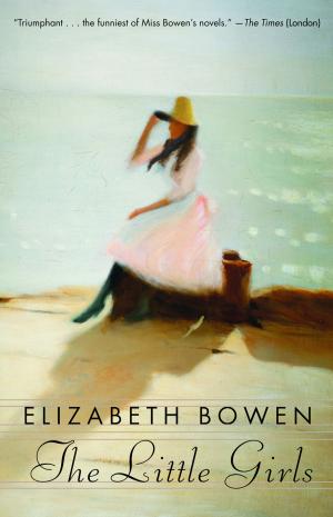 Cover of the book The Little Girls by Catherine Bowman