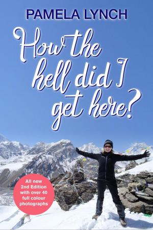 Cover of the book How The Hell Did I Get Here? by 西村　靖夫