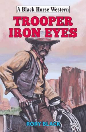 Cover of the book Trooper Iron Eyes by Ethan Flagg