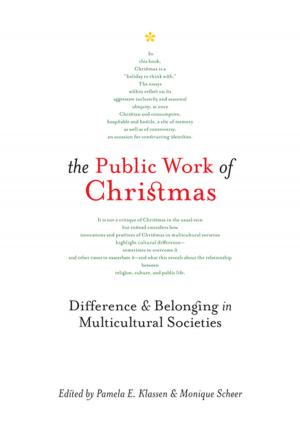 Cover of the book The Public Work of Christmas by nancy viva davis halifax