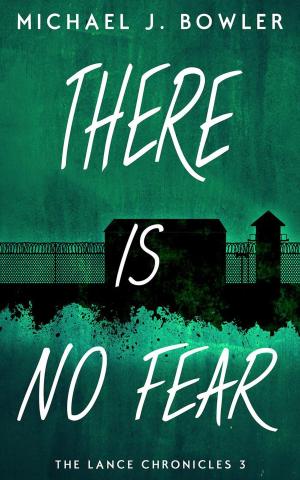 Cover of the book There Is No Fear by Marcia Gay