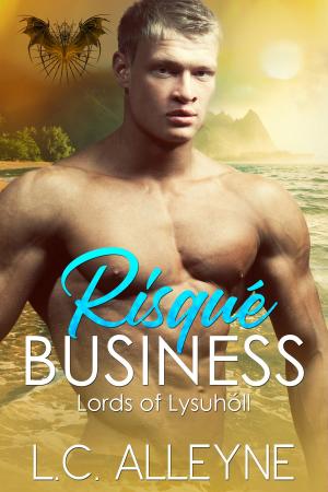 Cover of the book Risqué Business by Bruno Ribeiro, Wander Shirukaya