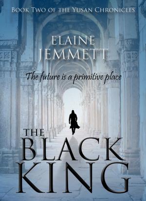 Cover of the book The Black King by Theresa Paolo